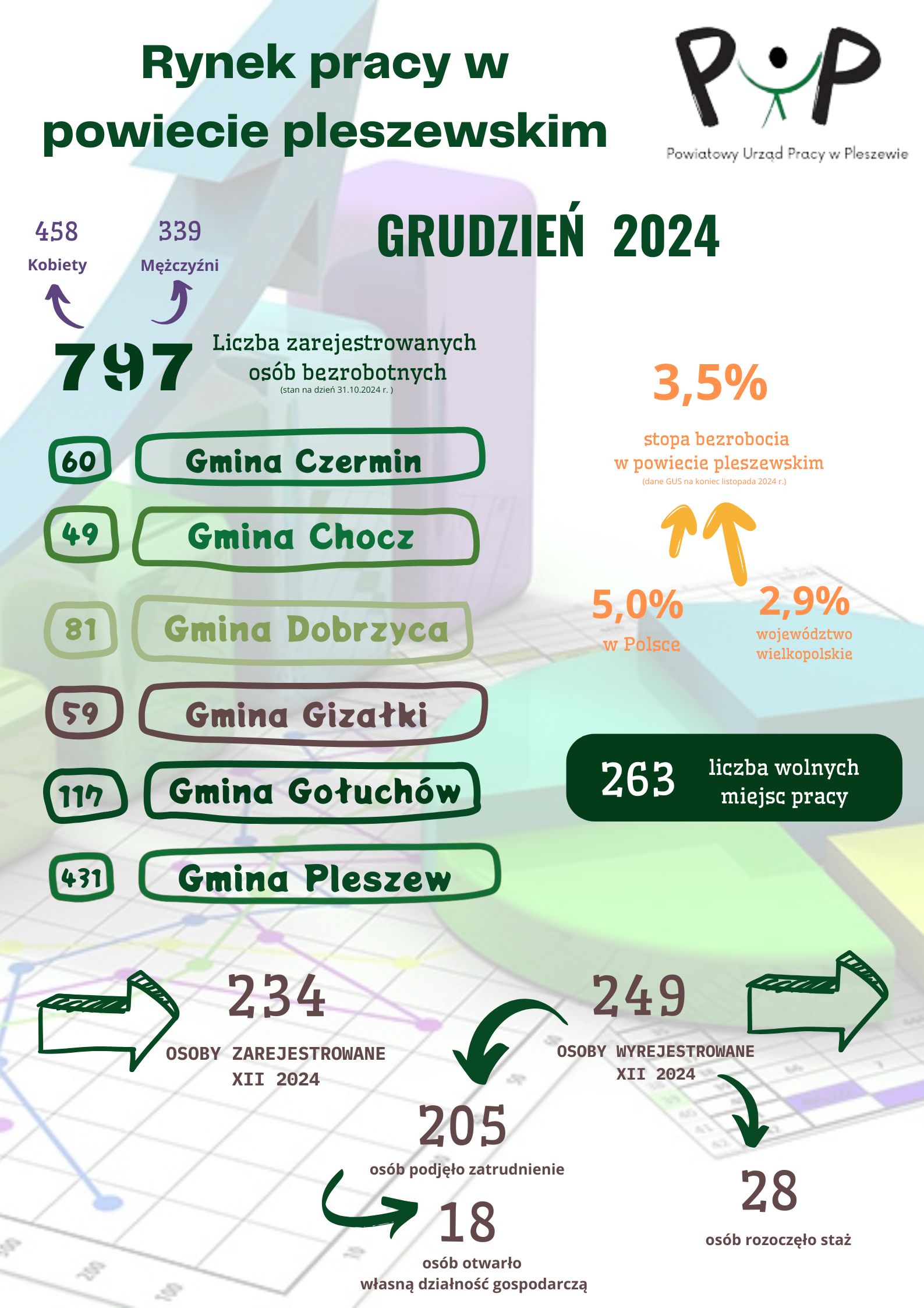 Rynek pracy w powiecie pleszewskim - grudzień 2024