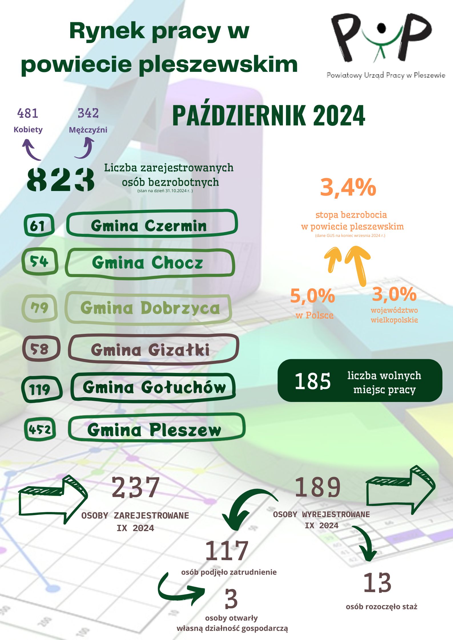 Rynek pracy w powiecie pleszewskim - październik 2024