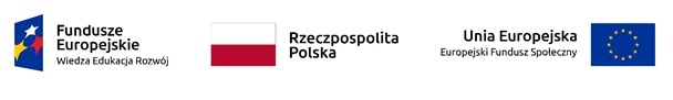 LOGO POWER+POLSKA+UE